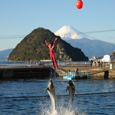 【楽天限定】家族連れに人気の観光施設選べるチケット付プラン〜伊豆旅の想い出づくりにおすすめ♪